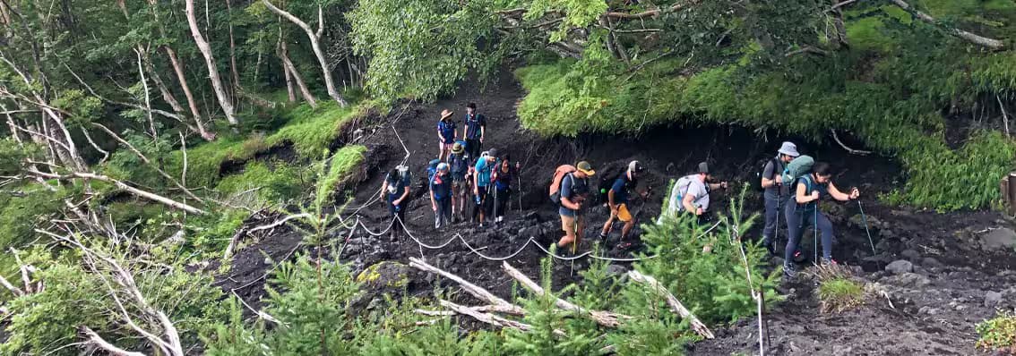 Exploiter la Puissance de la Nature: Les Avantages de la Randonnée et du Team Building en Plein Air pour les Organisations