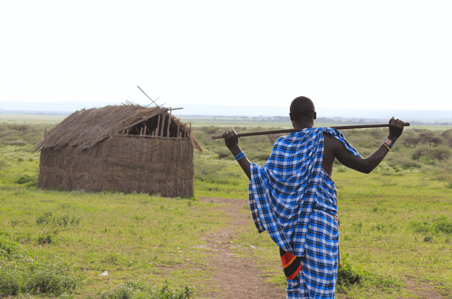 The Ultimate Guide to Wildlife Safaris in Tanzania: What to Expect